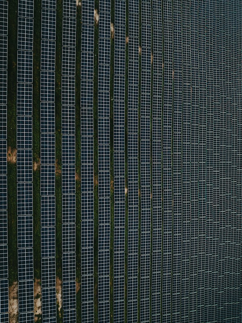Rows of solar panels seen from above